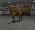 2026-09/horse.jpg
